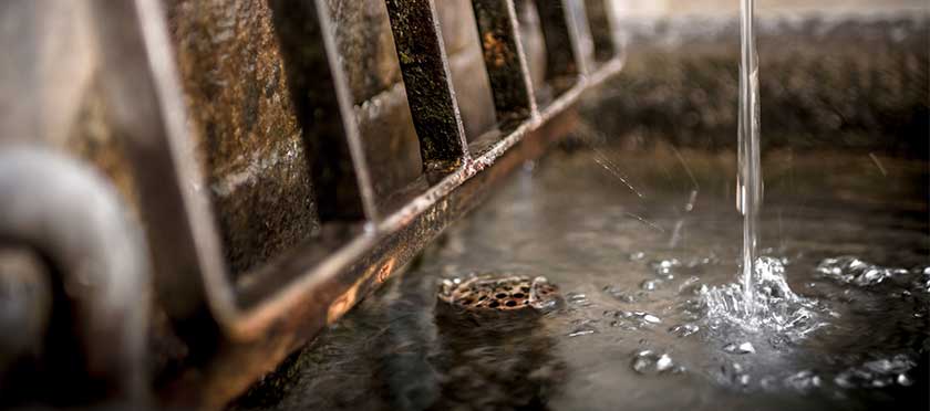 Blocked drain plumbing services in Gauteng including drain clearing and sewer line repairs